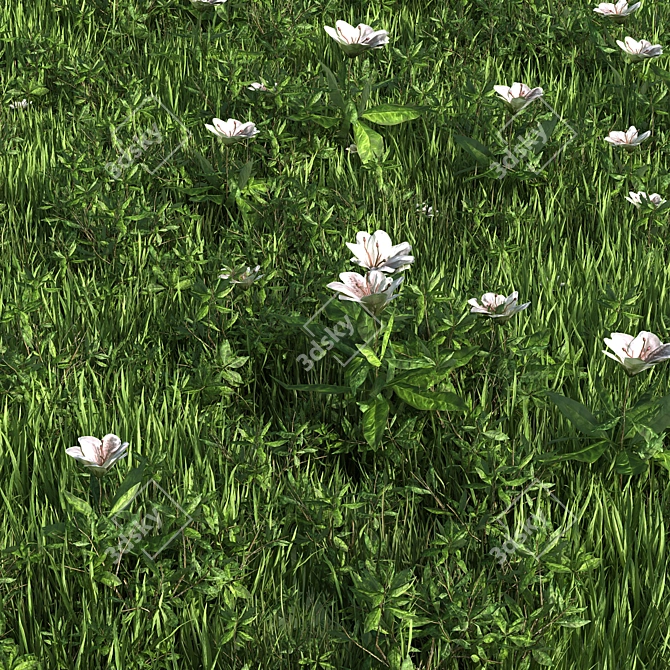 Versatile Grass Collection: 4 Types 3D model image 1