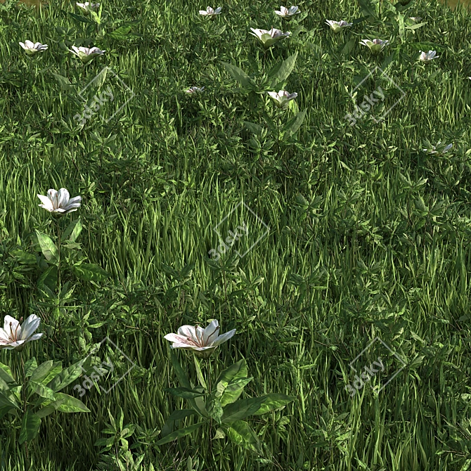 Versatile Grass Collection: 4 Types 3D model image 2
