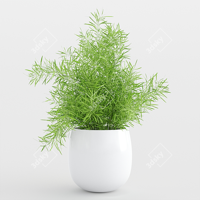 Modern Indoor Plants Set 3D model image 3