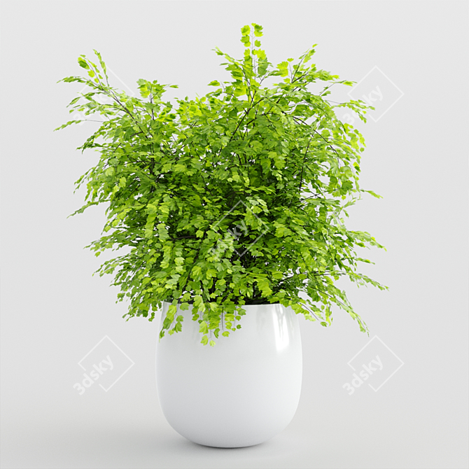 Modern Indoor Plants Set 3D model image 4