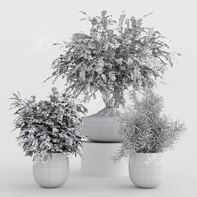 Modern Indoor Plants Set 3D model image 6