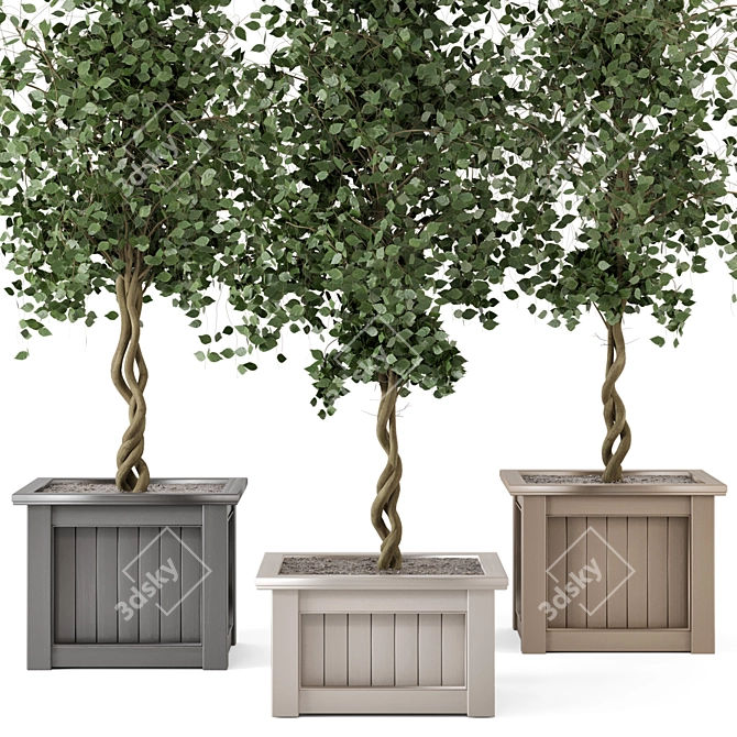 Outdoor Plants Tree in Wooden Box 3D model image 3