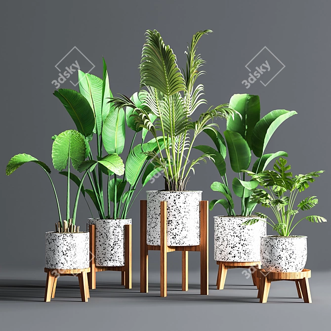 Green Oasis Indoor Plant Set 3D model image 1