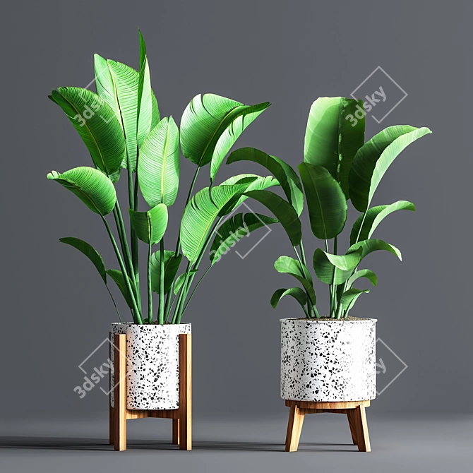 Green Oasis Indoor Plant Set 3D model image 2