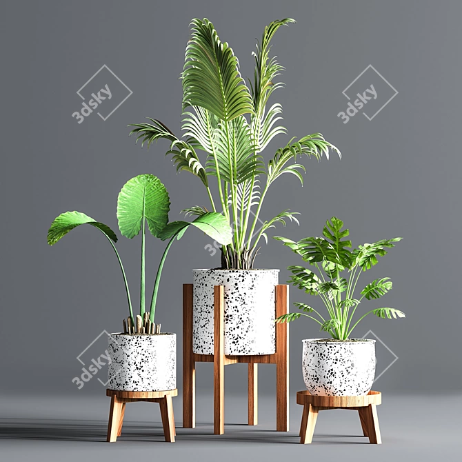 Green Oasis Indoor Plant Set 3D model image 3