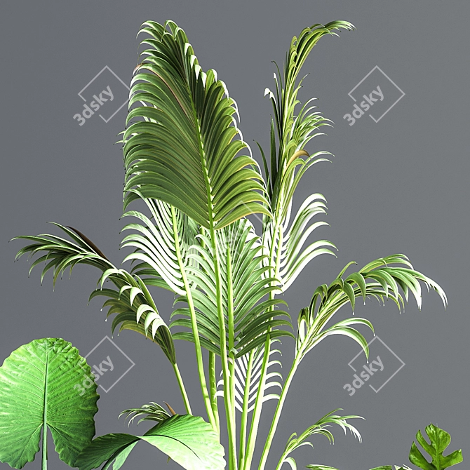 Green Oasis Indoor Plant Set 3D model image 4