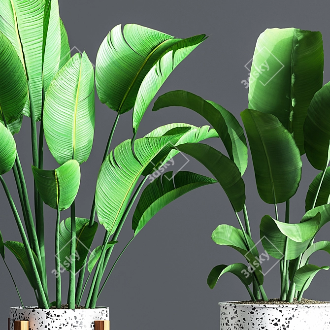 Green Oasis Indoor Plant Set 3D model image 5