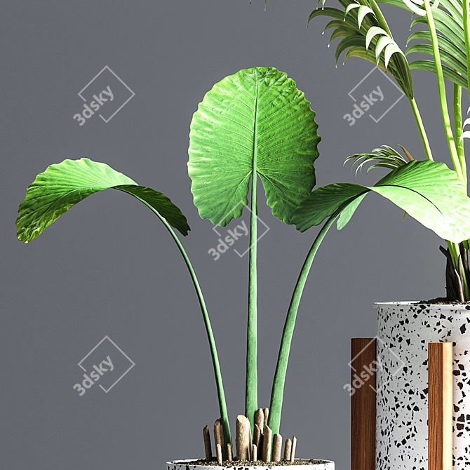 Green Oasis Indoor Plant Set 3D model image 6