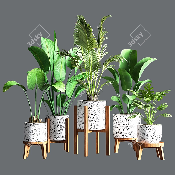 Green Oasis Indoor Plant Set 3D model image 8