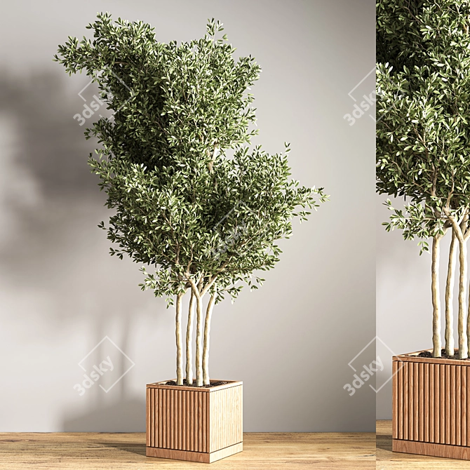 Green Oasis Indoor Plant Set 3D model image 4