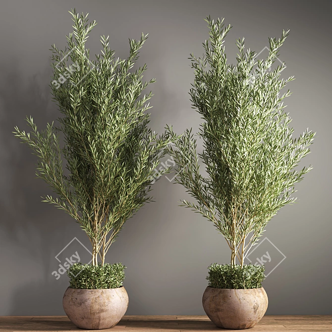 Outdoor Plant Set 09: Stylish and Sustainable Greenery 3D model image 3