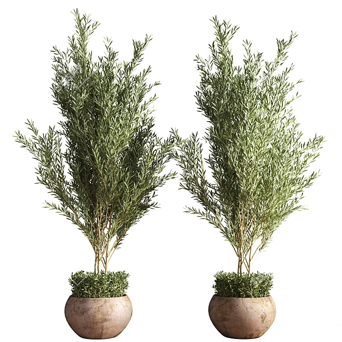 Outdoor Plant Set 09: Stylish and Sustainable Greenery 3D model image 4