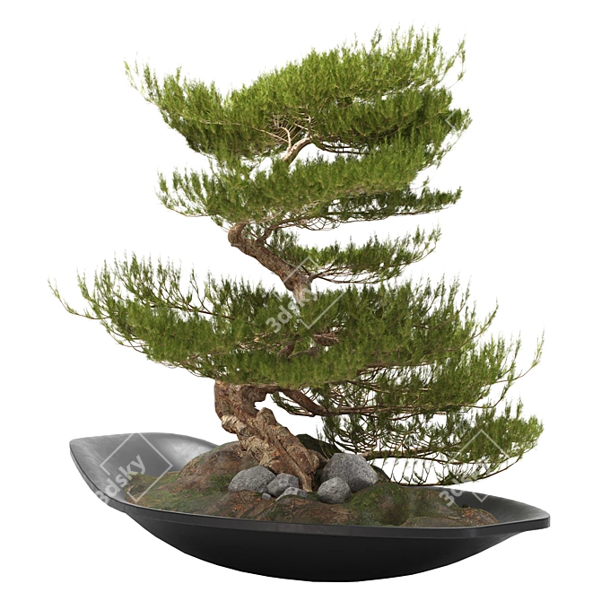 118CM BONSAI06: Authentic Zen Tree 3D model image 1