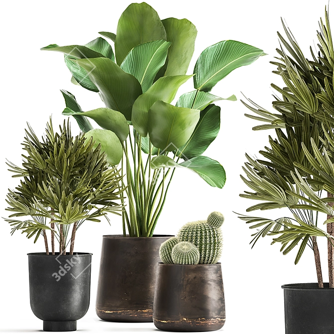 Tropical Plant Collection: Reclaimed Iron Pot, Exotics & Calathea 3D model image 1