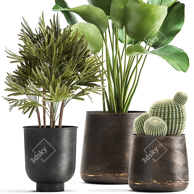 Tropical Plant Collection: Reclaimed Iron Pot, Exotics & Calathea 3D model image 2