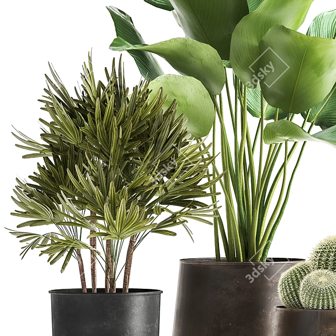 Tropical Plant Collection: Reclaimed Iron Pot, Exotics & Calathea 3D model image 5