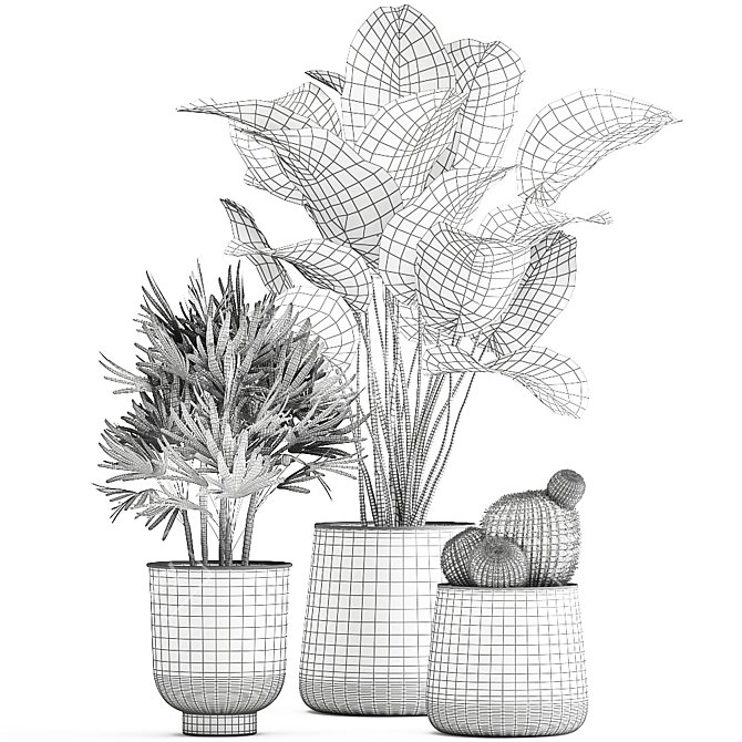 Tropical Plant Collection: Reclaimed Iron Pot, Exotics & Calathea 3D model image 7