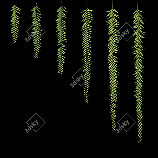 Lush Hanging Fern Set: Perfect 3D Max V-Ray Plants 3D model image 2