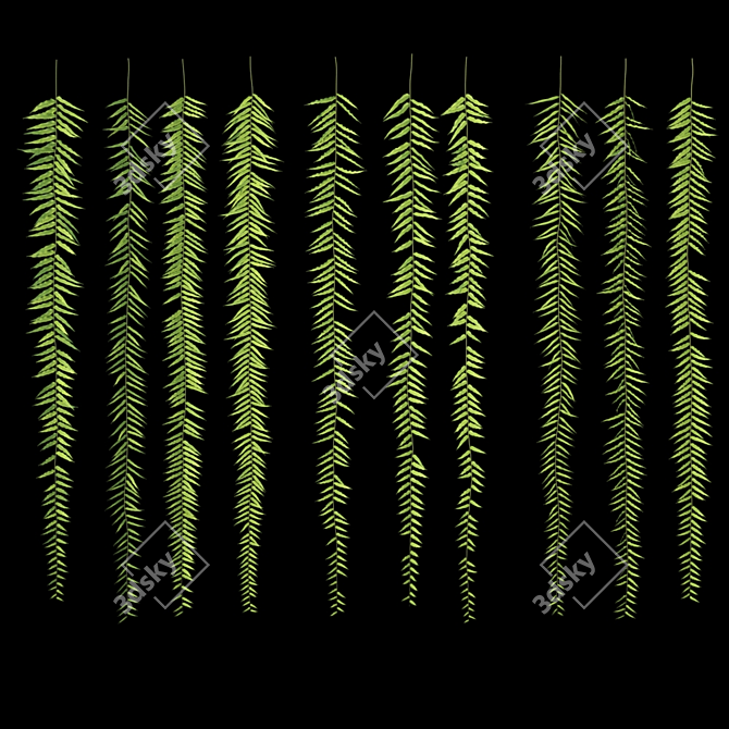 Lush Hanging Fern Set: Perfect 3D Max V-Ray Plants 3D model image 3