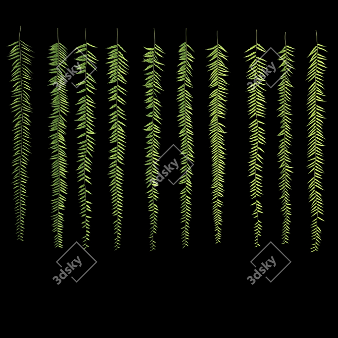 Lush Hanging Fern Set: Perfect 3D Max V-Ray Plants 3D model image 4