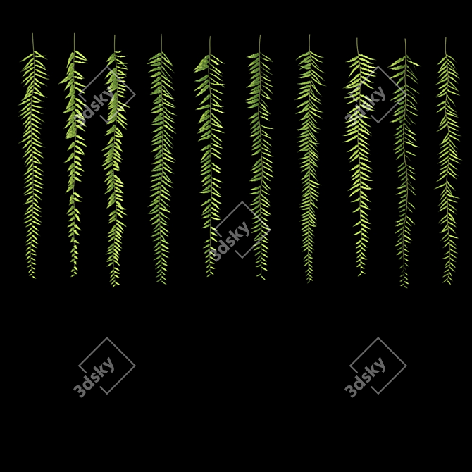 Lush Hanging Fern Set: Perfect 3D Max V-Ray Plants 3D model image 5