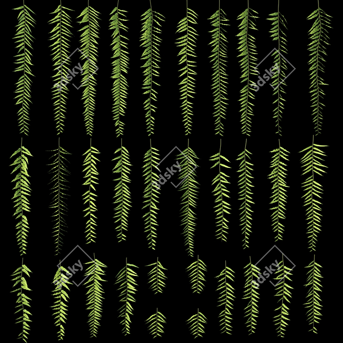 Lush Hanging Fern Set: Perfect 3D Max V-Ray Plants 3D model image 6