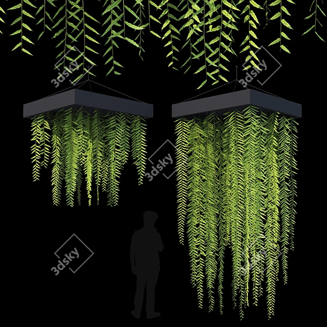 Lush Hanging Fern Set: Perfect 3D Max V-Ray Plants 3D model image 7