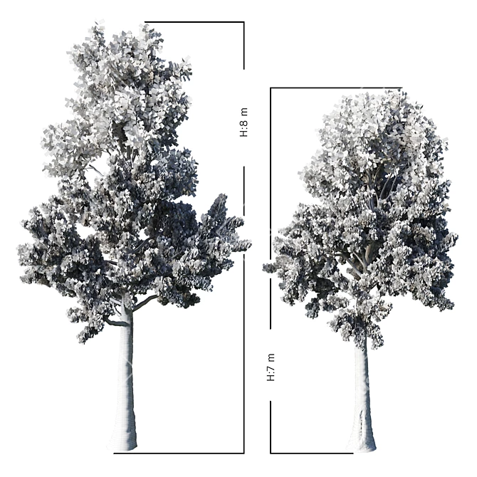 Tall Pine Tree - TwoTree Corona 3D model image 5