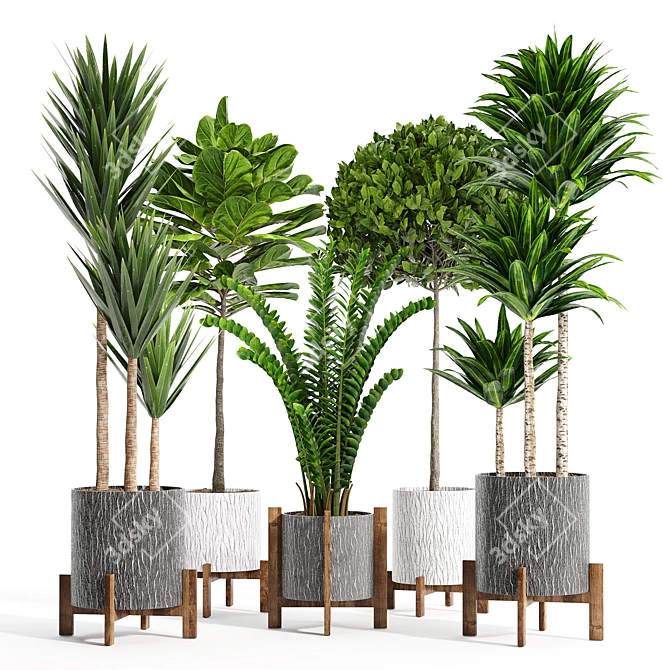 14-Piece Indoor Plant Collection: Variety and Elegance 3D model image 7