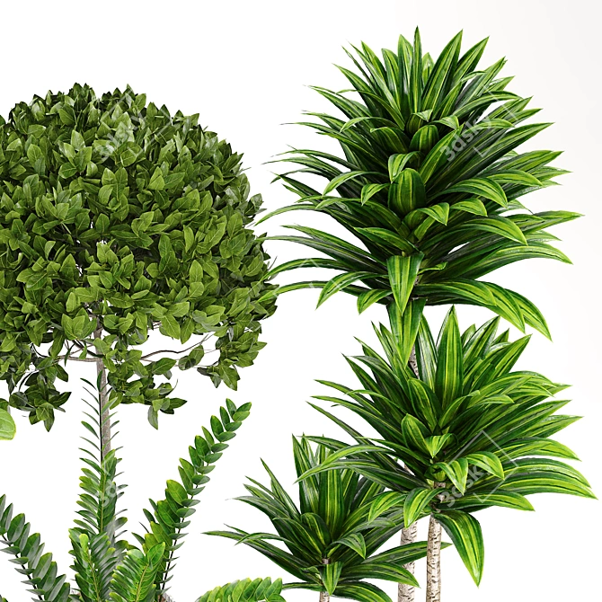 14-Piece Indoor Plant Collection: Variety and Elegance 3D model image 1