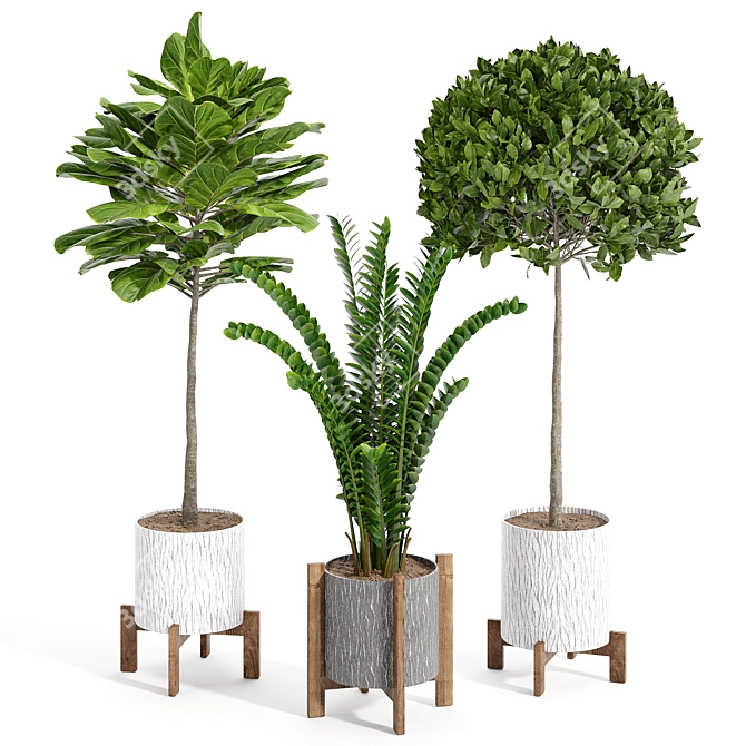 14-Piece Indoor Plant Collection: Variety and Elegance 3D model image 4