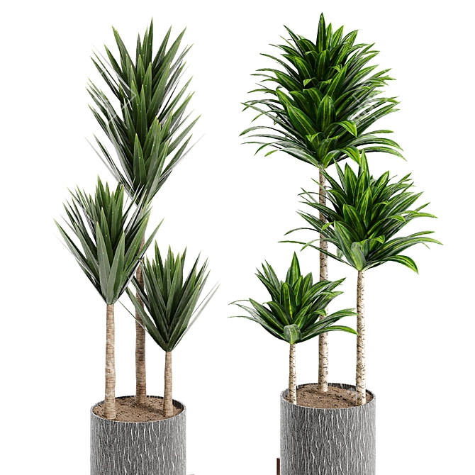 14-Piece Indoor Plant Collection: Variety and Elegance 3D model image 5