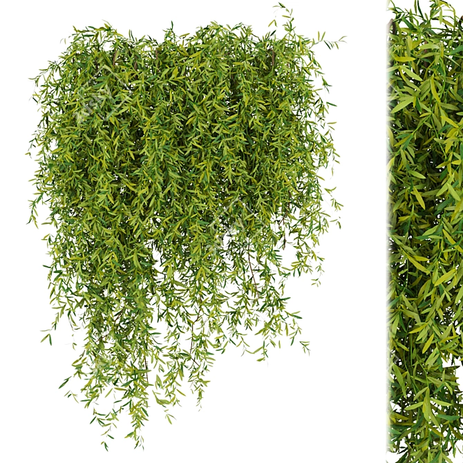Greenery Collection - Outdoor Bush 3D model image 3
