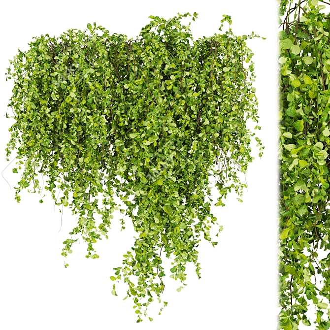 Greenery Collection - Outdoor Bush 3D model image 5