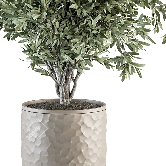 Olivera's Polygonal Pot Olive Set 3D model image 3