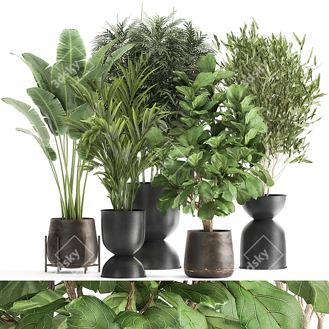 TropiPalm Plant Collection 3D model image 1