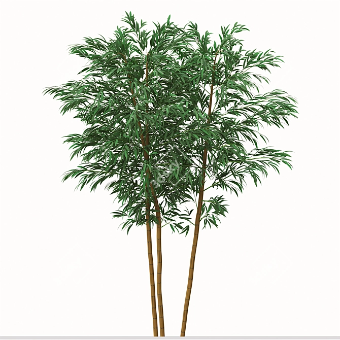 Golden Bamboo Plants Set (6-Pack) 3D model image 3