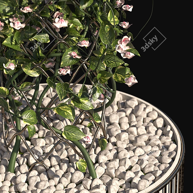 Blossoming Outdoor Plant Set 3D model image 3