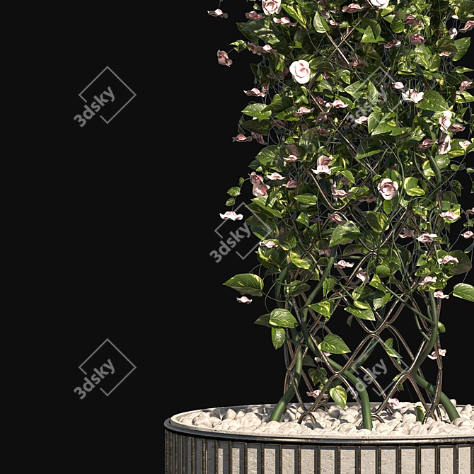 Blossoming Outdoor Plant Set 3D model image 4