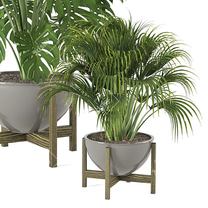 Minimalist Indoor Plants Set 3D model image 3