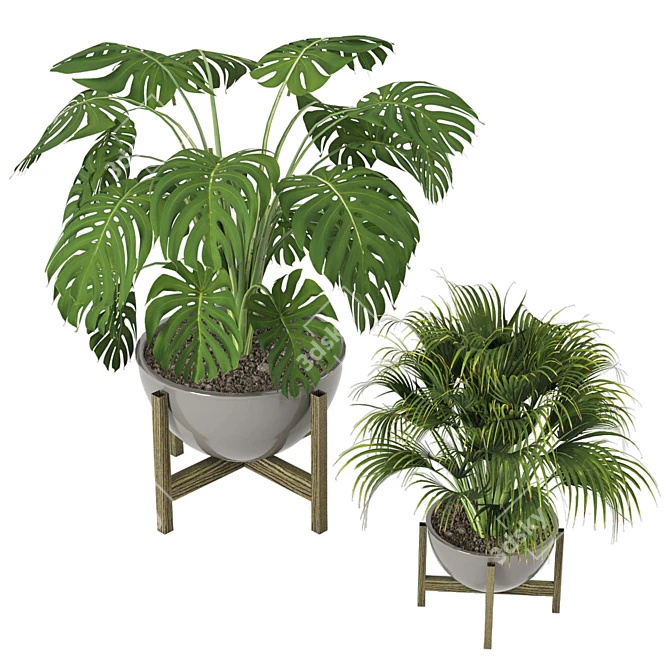 Minimalist Indoor Plants Set 3D model image 4