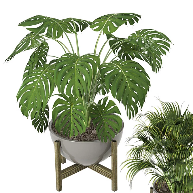 Minimalist Indoor Plants Set 3D model image 5