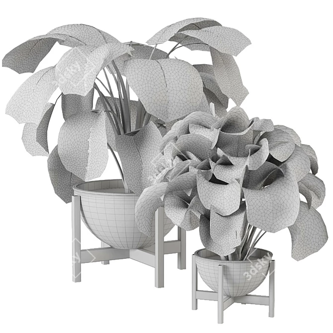 Minimalist Indoor Plants Set 3D model image 6