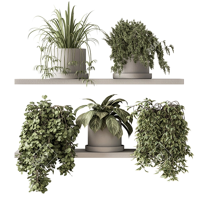 Green Living: Indoor Plant Set 3D model image 1
