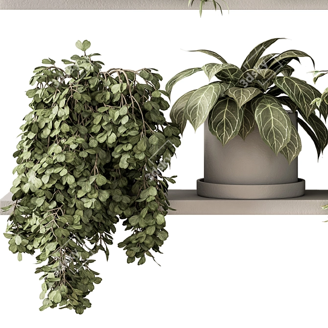 Green Living: Indoor Plant Set 3D model image 5