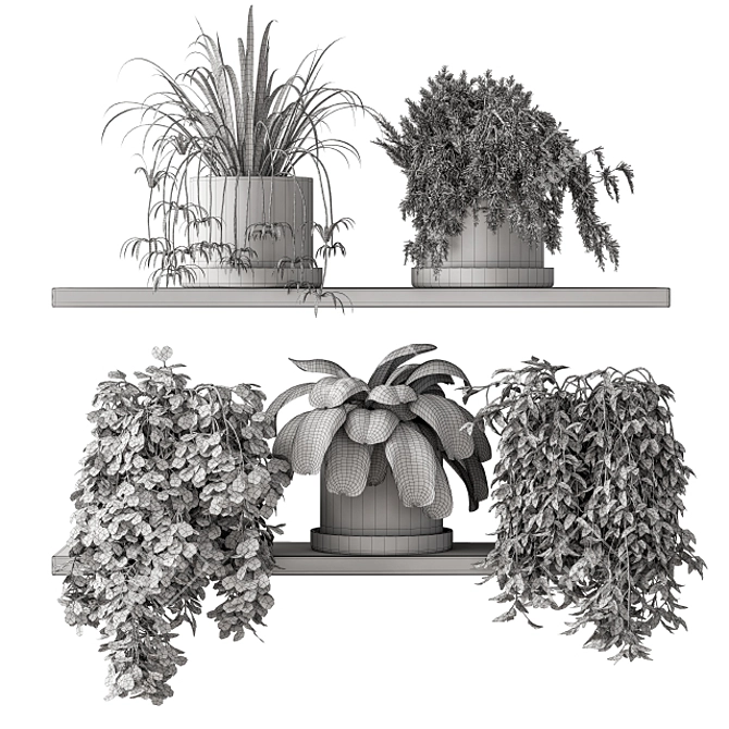 Green Living: Indoor Plant Set 3D model image 7