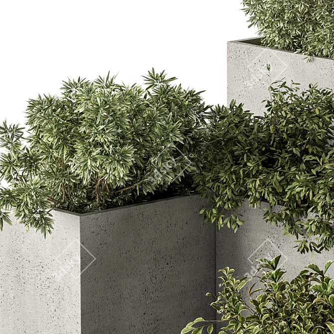 Concrete Outdoor Plant Set 277 3D model image 4