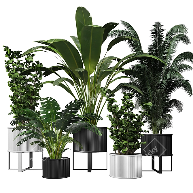 Urban Jungle: Modern Indoor Plant 3D model image 1