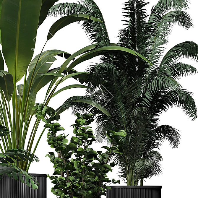 Urban Jungle: Modern Indoor Plant 3D model image 2