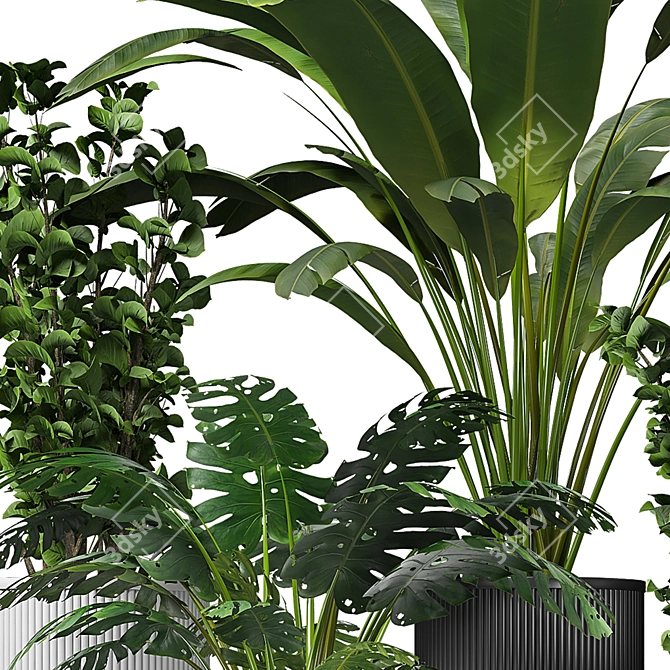 Urban Jungle: Modern Indoor Plant 3D model image 3